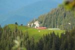 2014-07-05_Laengental-N-Hochweg (731). JPG